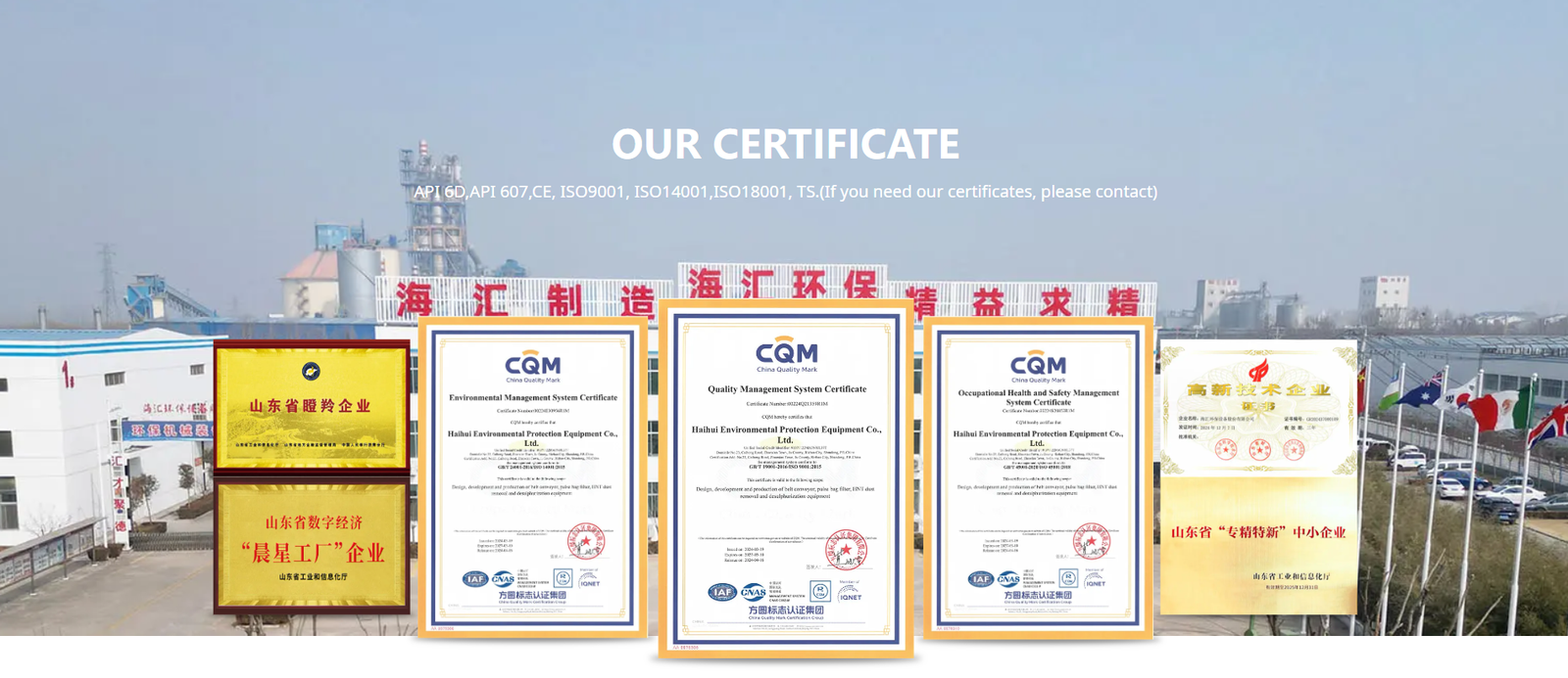 Display of multiple certificates and authentication information